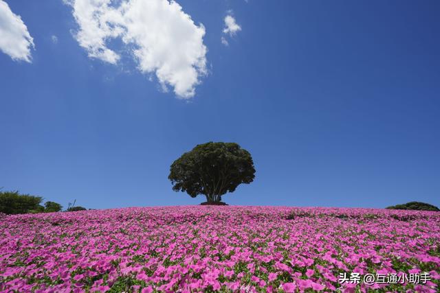 腾龙 16-30mm F/2.8 Di III VXD G2 镜头评测