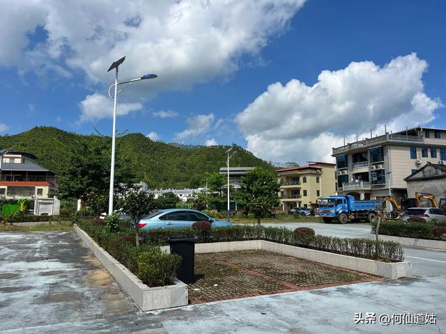 新丰秀田，是来看古树的
