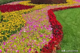 天安门城楼，见证了历史的变迁图片