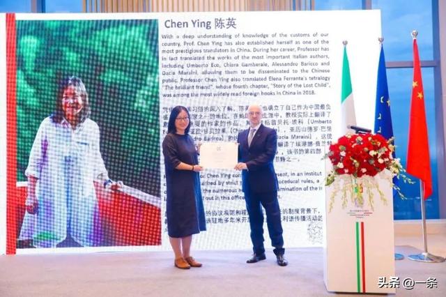 她把风靡全球的神作引入中国，被总统授予骑士勋章，好评如潮