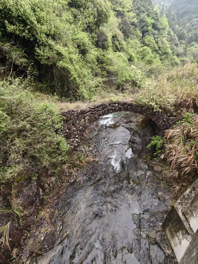 仙居县余下坑村，云卷云舒推窗风满帘，望水望山枝头花盈春