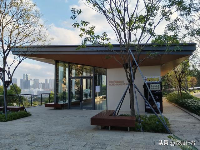 从地铁口出发，游逛刚刚开放的鲲鹏径二号及三号桥