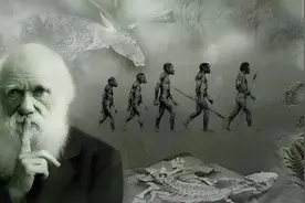 人类的起源，始于4亿年前的一条鱼？持续几十年的进化骗局被拆穿图片