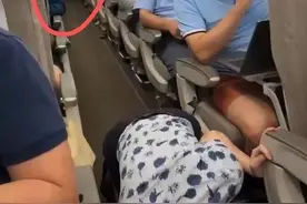 旅客带仓鼠上飞机致全体旅客下机？上海警方通报：34岁女子携带宠物蜜袋鼯登机，已被行拘 律师：违规又违法！图片