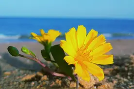 如果，你是连旧衣服都舍不得扔的人，那么恭喜图片