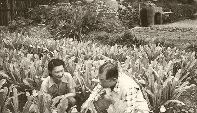 赵一荻独子回国扫墓，跪在张作霖墓前大哭：我代表您儿子来看您了