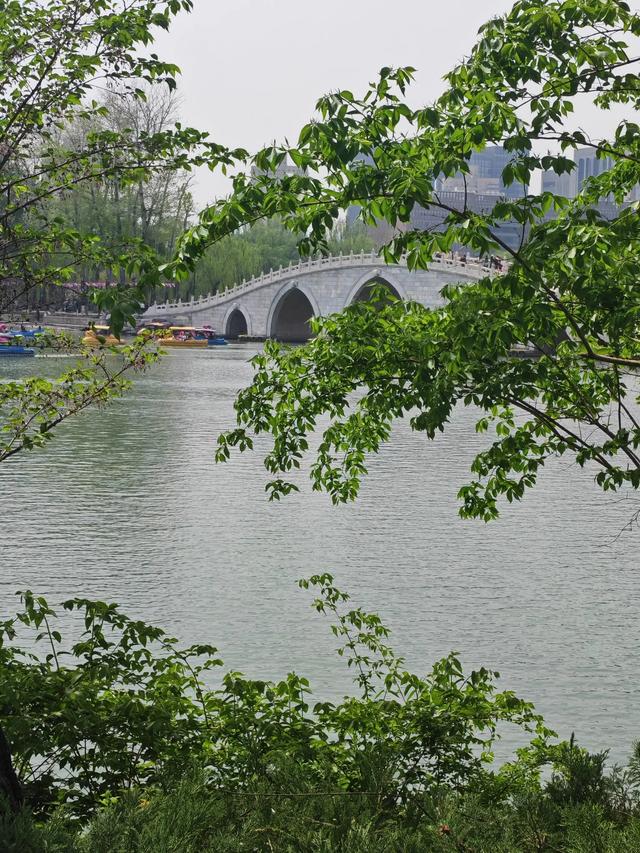 满园春色关不住 独领风骚樱花秀