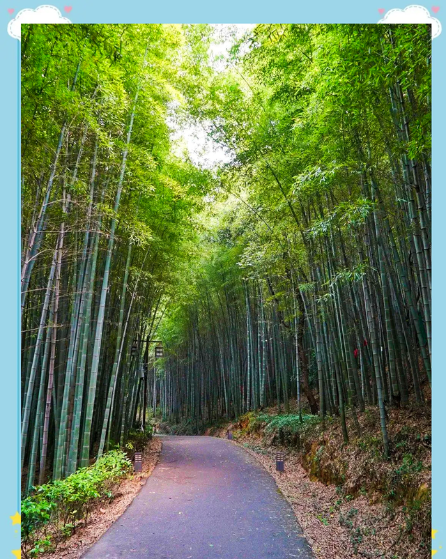 苏州旺山火了！免费逛还能挖笋，结果最后一条规矩让游客真没想到