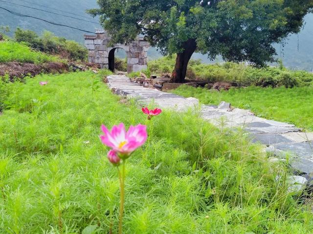 韶关这些秋冬的徒步骑行宝藏路线值得你N刷！喊上搭子，周末就出发去捕捉秋天的限定温柔