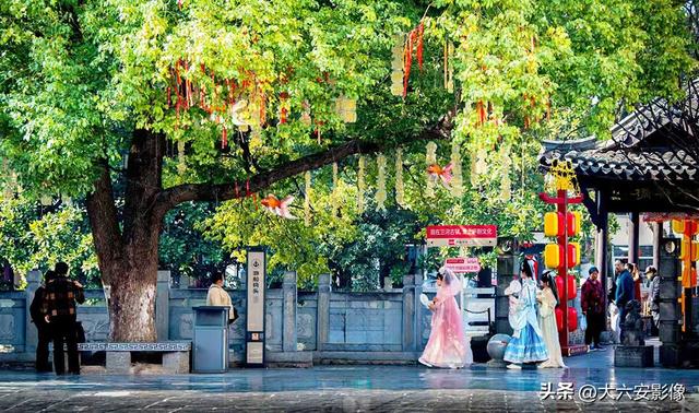 春光明媚 跟着摄影师镜头畅游美丽中国