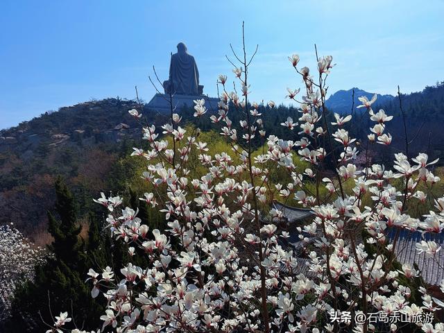 赤山的春天，是一场蓄谋已久的“花事”