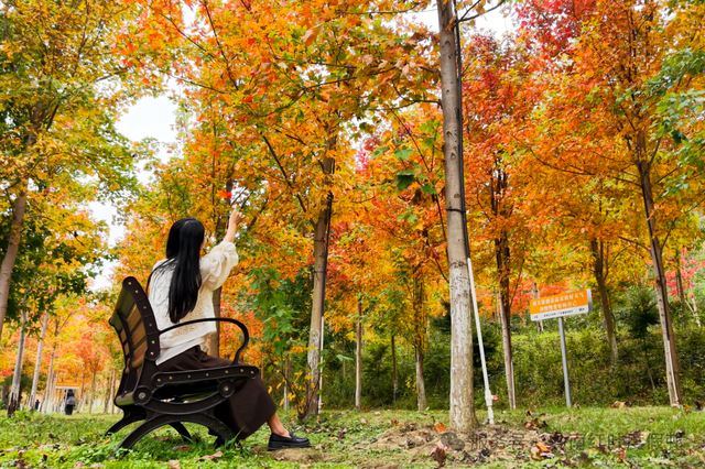 年假清零倒计时，该出发了！把最后几天留给韶关的彩林山水