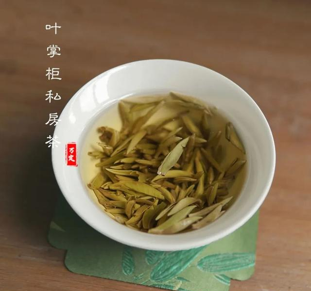 政和白茶：藏在深山里的“月光美人	”，一口就沦陷！