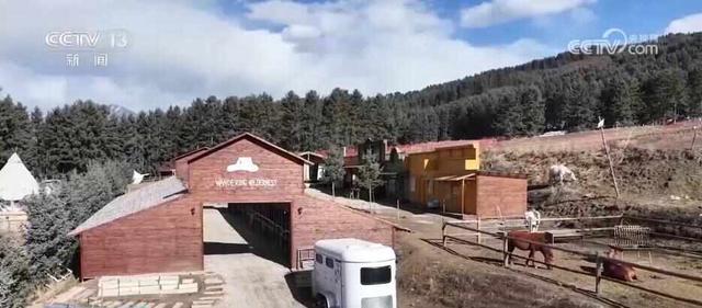 超级冰滑梯、林海围炉，解锁新体验！冰雪活动拉满冬日文旅期待值