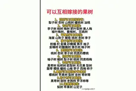 可以互相嫁接的果树，看完涨知识了，建议收藏起来备用图片