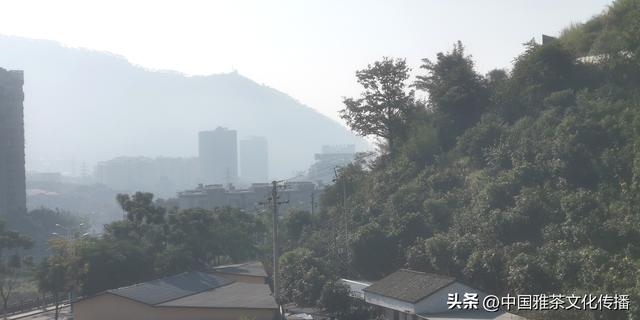 吾在米易过去冬天