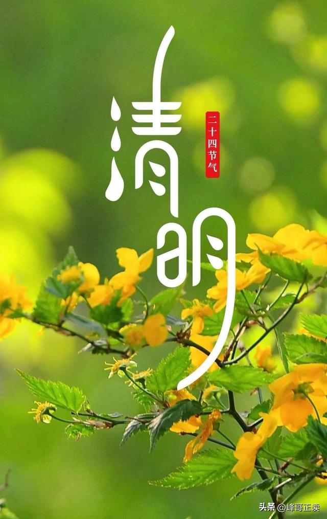 明天清明加周日！祭扫、出行、禁忌全攻略，务必收好