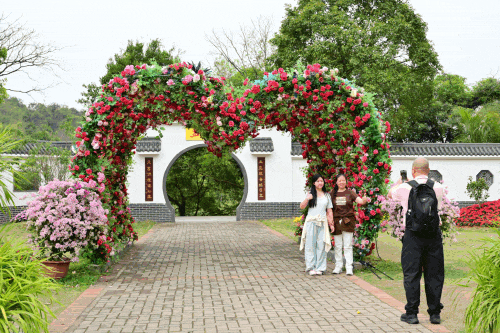 东莞观音山4月15日首日实况直击！欢迎东莞人民🤩共赏春光！