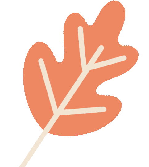 我发现，骑行圈里最受欢迎的女生，都不是骑得最快的