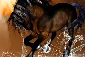 生肖马：2024开年，切记逃离3个搞破坏的扫帚星！难打翻身仗！图片