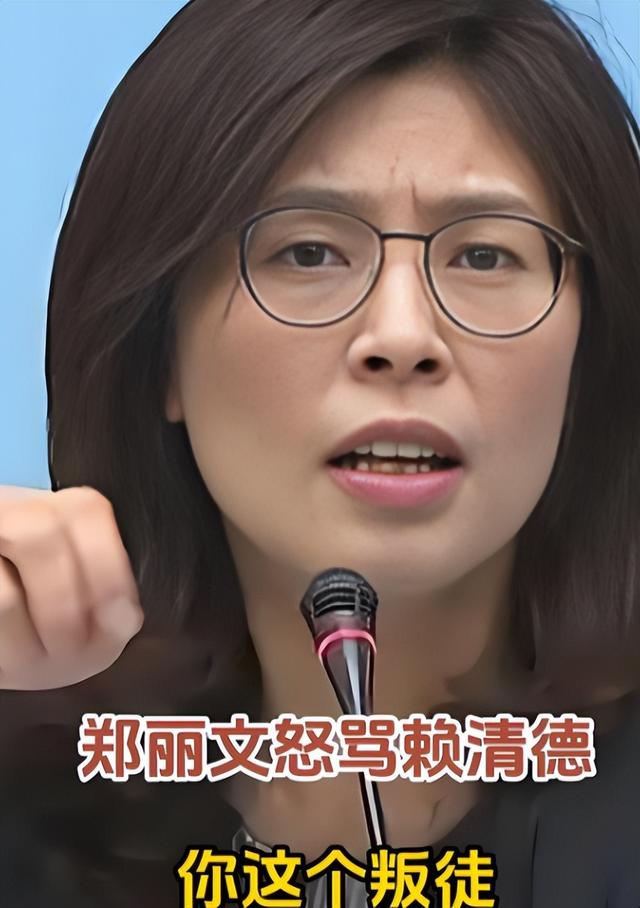 国民党主席位置坐稳，郑丽文摊牌了：两岸不回归和平，其他是侈谈