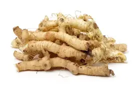 黄精有“仙药”之称，上养肺，中养脾，下养肾，越喝免疫力越强！图片