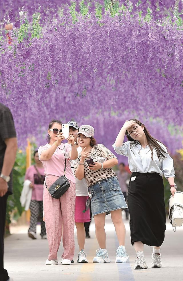 大美银川 美在品质丨文旅融合唤醒乡村之美
