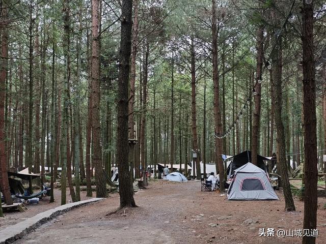 南川178环线自驾详细路书2025