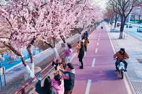 逛不够！逛不够！接下来，沈阳这些地方太精彩……图片