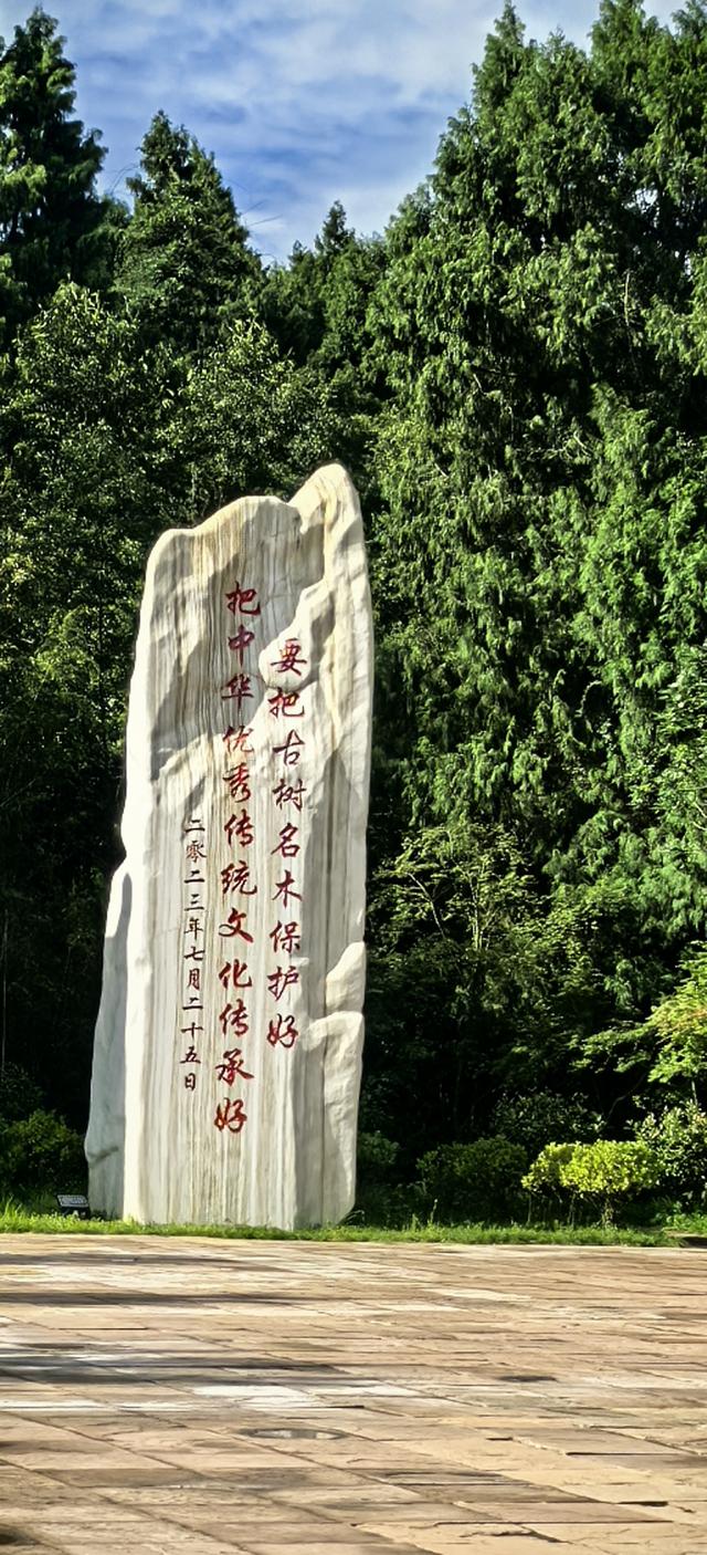 蜀道记行‖从万夫莫开剑门关到三百里翠云廊
