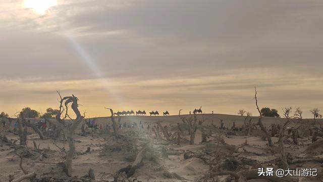 2025国庆西北自驾游（3）：黑城弱水胡杨风景区