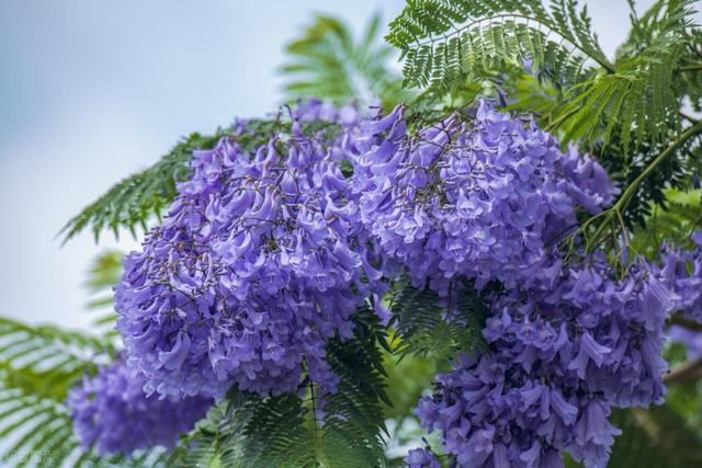 清明后机票价格跳水，五一前这20天是全年最佳错峰窗口