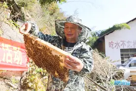 汨罗玉池山冬蜜丰收，“摇蜜人”摇出“甜蜜”生活图片
