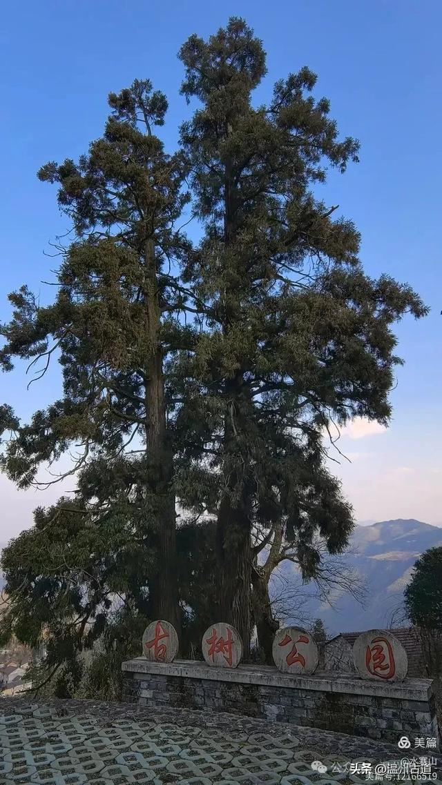 别名叫“凉村”，常年云雾缭绕！