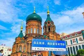 东北游‖ 哈尔滨夏日六天自由行保姆级攻略 暑假出游必备锦囊图片