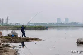 为什么很多“钓鱼大师”，都害怕大家玩传统钓，原来理由是这3点图片