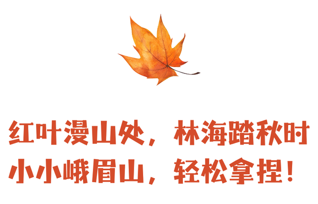 峨眉山这种级别的秋景，我愿称之为饱和度战神