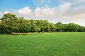 高考「成语填空必会100个成语」含近三年真题图片