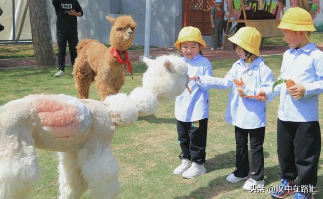 重磅消息！汉中南湖景区免门票啦！