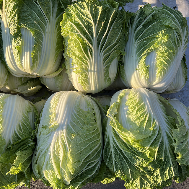 为了迎接南方小土豆，东三省都在整活