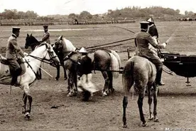 永平秋操：大清帝国最后一次“秀肌肉”，一场适得其反的军演图片