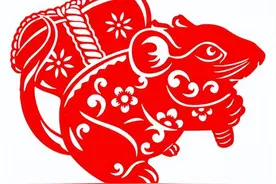 生肖鼠：与这三大生肖的关系不合，天生难容，经常摩擦图片