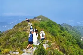 徒步登山赏林 感受清凉宁静图片