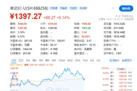 寒武纪股价一度超越贵州茅台，成A股新“股王”！上半年营收大涨43倍图片