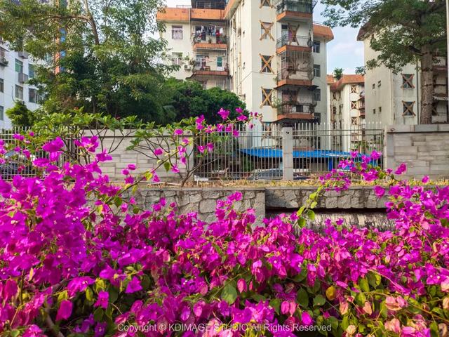 深圳这条街，曾经挤破头都难进入，现在扫码就进却为何没人去了？