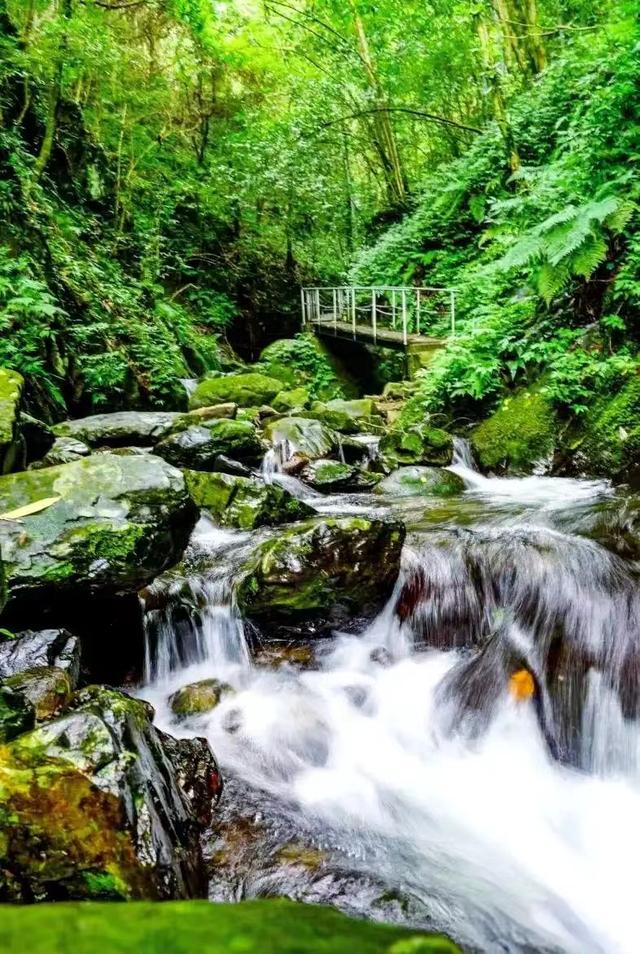 端阳喜伴小溪河，独有诗心迷远足——徒步小溪河散记（三）