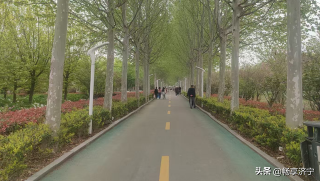 济宁人看牡丹别再只认菏泽！济宁千亩牡丹秘境，以前真被低估了！