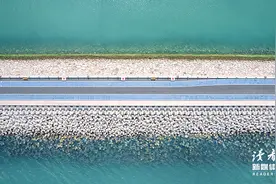 转运最快的方式：穿别人的鞋，走自己的路图片