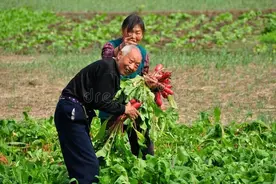 我外婆活到99岁，爷爷96岁，突然发现长寿的老人有这5个习惯！图片