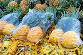 菠萝低价销售桂林市民实现“菠萝自由”！扎堆卖的菠萝能不能直接吃→图片